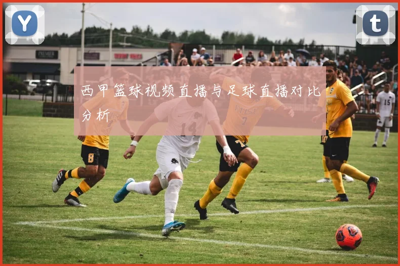 西甲篮球视频直播与足球直播对比分析